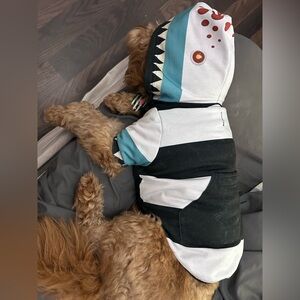 Pet Sandworm Costume, Beetlejuice costume
